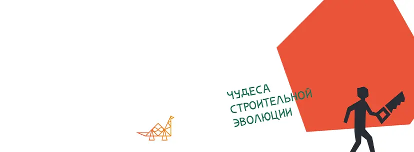 Чудеса строительной эволюции